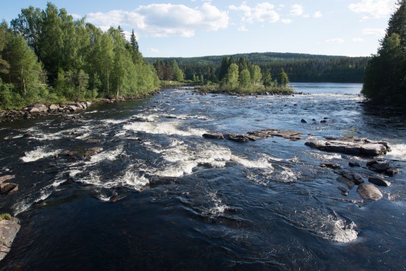 accountant Elverum