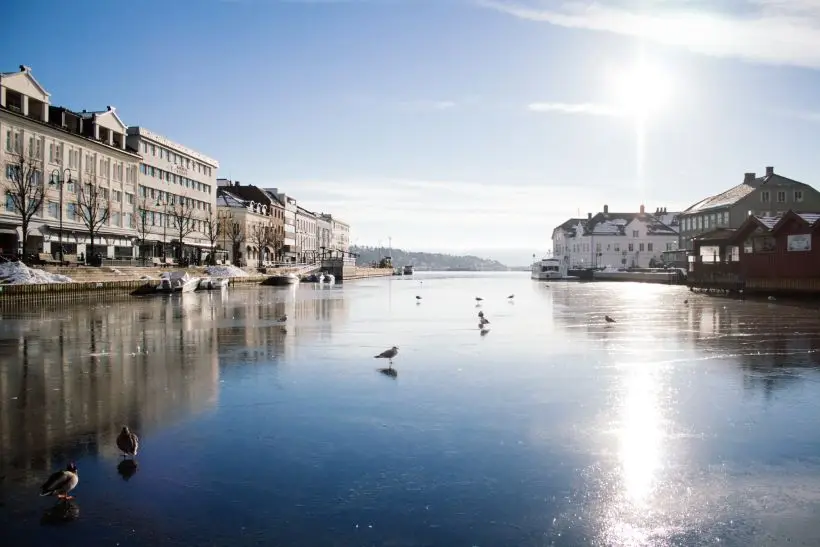 regnskapsfører Arendal
