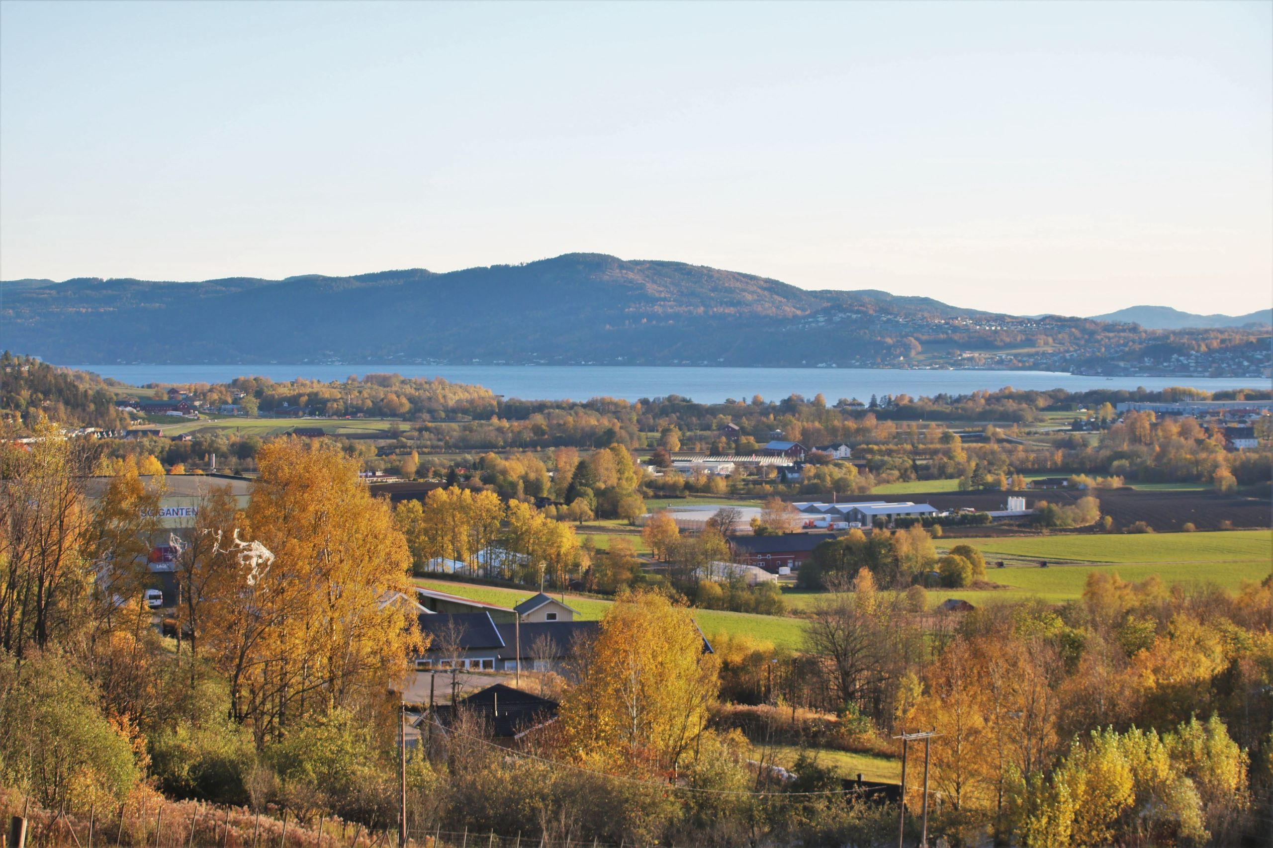 regnskapsfører Asker