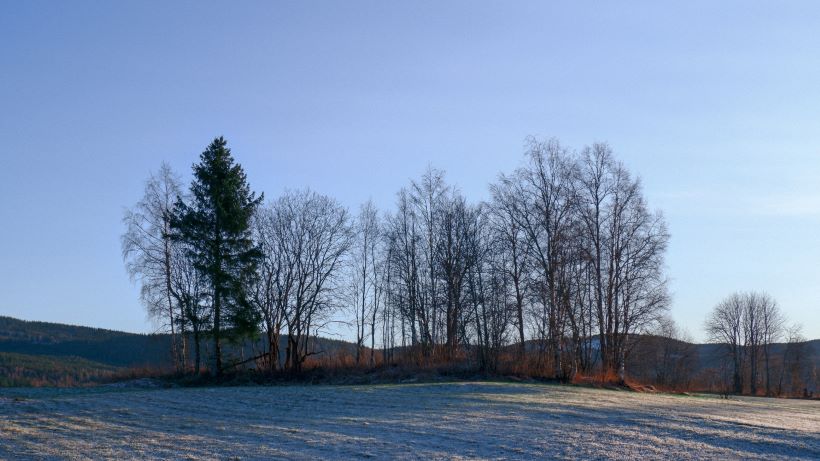 regnskapsfører Hurdal