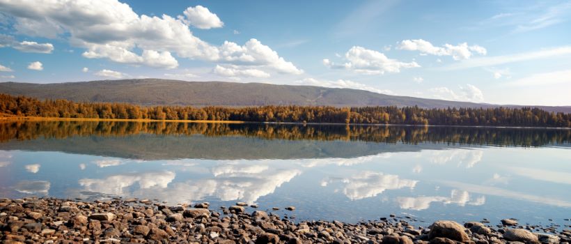 regnskapsfører Steinkjer