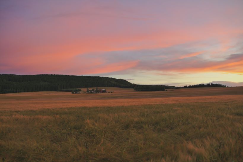 regnskapsfører Stjørdal