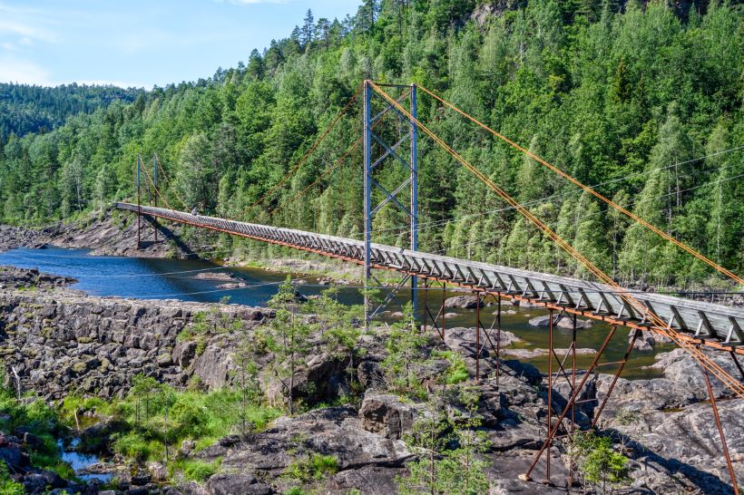 regnskapsfører Vennesla